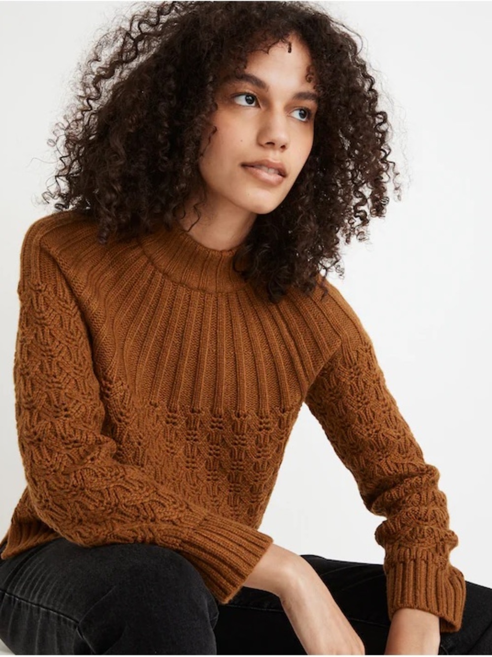 Madewell Pointelle Stitch-Mix Mockneck Sweater